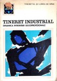 TINERET INDUSTRIAL. DINAMICA INTEGRARII SOCIOPROFESIONALE-OVIDIU BADILA, CATALIN MAMALI SI COLAB.-352669