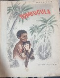 Ion Calovia - Tombucula