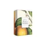 The Trees of North America: A Detailed Notes Notecard Box