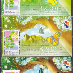 DB1 Flora Fauna Hong Kong Fluturi Pomi Expo 2001 3 SS MNH