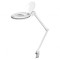 Lupă de Masă cu Iluminare LED 8W 6500K &Oslash;127mm