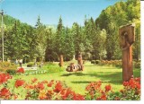 @carte postala(ilustrata)-SLSNIC MOLDOVA-vedere din parc