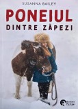 Poneiul dintre zapezi carte de povesti pentru copii autor Susanna Bailey nou sau anticariat stare buna