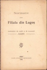 HST C1057 Normativ pt filiala Lugoj Institutul de Credit și Economii Albina 1908
