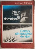 Intr-un camin de domnisoare - Anisoara Odeanu - Roman - Carte beletristica