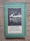 Cronica de la campie - Petru Dumitriu