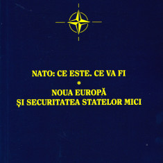 AS - NATO: CE ESTE. CE VA FI. NOUA EUROPA SI SECURITATEA STATELOR MICI