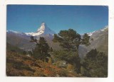 FA62-Carte Postala- ELVETIA - Wallis , Matterhorn , circulata 1978