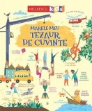 Marele meu tezaur de cuvinte/Rosie Hore