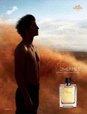 Hermes Terre D&amp;#039;Hermes EDT 100ml pentru Barba?i foto