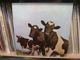 Vinil LP "Japan Press" Pink Floyd &ndash; Atom Heart Mother (EX)