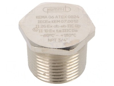 Capac de protecție alamă NPT3/4 V-Ms-Ex-d Filet &amp;icirc;n țoli foto