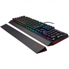 Tastatura gaming mecanica Riotoro Ghostwriter Prism Cherry MX Blue neagra iluminare RGB foto