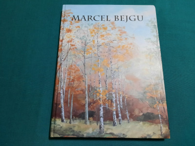 MARCEL BEJGU *ALBUM DE PICTURĂ/ 2018 foto