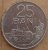 25 Bani 1966