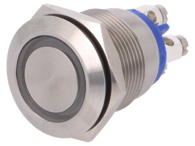 Comutator Anti-Vandalism IP66 SPST-NO 24VDC foto