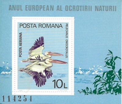 Romania 1980 - Anul european al ocrotirii naturii, colita dantelata, MNH, LP1005 foto