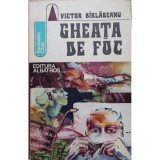 Victor Birladeanu - Gheața de foc