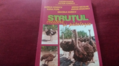 VICTOR IONESCU - STRUTUL CRESTERE SI PATOLOGIE foto