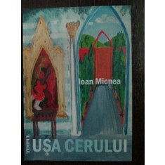 Usa cerului