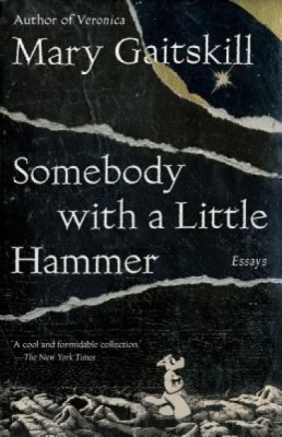 Somebody with a Little Hammer: Essays foto