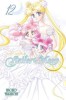 Pretty Guardian Sailor Moon, Volume 12