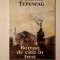 Dumitru Țepeneag - Roman de citit &icirc;n tren