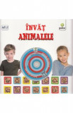 Invat animalele (contine CD cu jocuri)