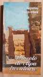 Dincolo de clipa trecatoare- Augustina Visan-Arnold