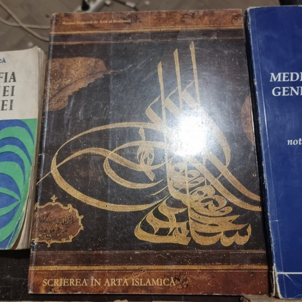 Mircea Dunca - Scrierea in Arta Islamica