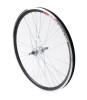 ROATA - 26x1.5-1.75 - SPATE - AL DUB - (MTB, 36H, 14G) PowerTool TopQuality, Blade