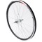 ROATA - 26x1.5-1.75 - SPATE - AL DUB - (MTB, 36H, 14G) PowerTool TopQuality