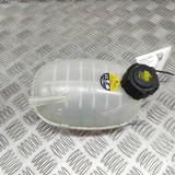 Vas Expansiune Nissan Juke F16 2024 OEM 217102572R