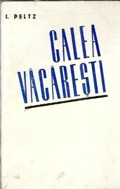Calea Vacaresti - I. Peltz foto