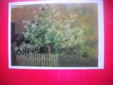 HOPCT 23344 CIRESUL- ISAAC LEVITAN 1860-1900 --MUZEE RUSIA - CP PICTURA --NECIRCULATA