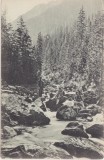 CP SIBIU Hermannstadt Carpatii Transilvaniei cascada Bulea ND(1917), Circulata, Fotografie