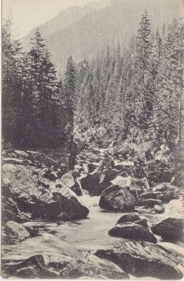 CP SIBIU Hermannstadt Carpatii Transilvaniei cascada Bulea ND(1917) foto