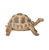 Cumpara ieftin Figurina Testoasa de uscat