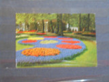 OLANDA - LISSE - PARCUL KEUKENHOF - ANII1960 - CIRCULATA, SCRISA -, Fotografie