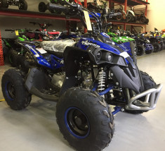 ATV AVENGER PRIME 49 cc import Germania 2020! foto