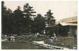 2401 - Baile FELIX, Bihor, Park, Romania - old postcard, real PHOTO - used 1930