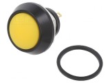 Comutator Anti-Vandalism SPST-NO IP65 2A 36VDC