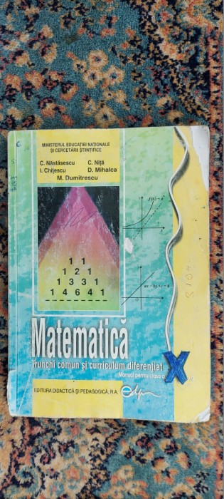 MATEMATICA CLASA A X A NASTASESCU NITA CHITESCU MIHALCA DUMITRESCU