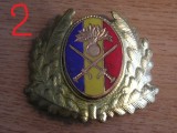 QW14 - Emblema militara / cuc - uscat - anii 1990 - piesa de colectie