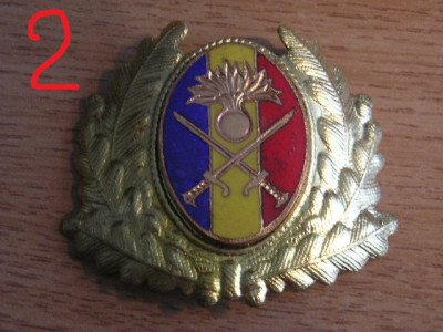 QW14 - Emblema militara / cuc - uscat - anii 1990 - piesa de colectie foto