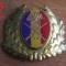 QW14 - Emblema militara / cuc - uscat - anii 1990 - piesa de colectie