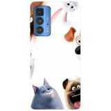 Husa compatibila cu Motorola G20 model The Secret Life of Pet, Silicon, TPU, Viceversa, Transparent, Carcasa