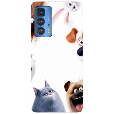 Husa compatibila cu Motorola Edge 20 model The Secret Life of Pet, Silicon, TPU, Viceversa foto
