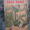 Andre Malraux -Calea Regala