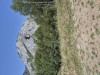 Porc Alb 180kg, Crescut Natural, de Casă, Castrat - Activist Verde, Cereale Naturale